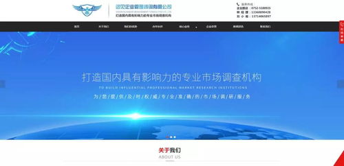 远见咨询全网营销推广效果解析 如何通过商务信息咨询驱动企业增长