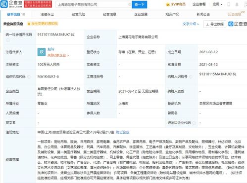 商务信息咨询 企业战略决策的智慧导航